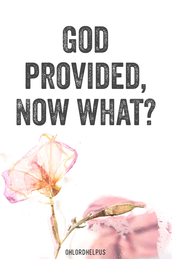 God gives us many blessings. Once we move past our initial thankfulness, the weight of what we must steward can distract us from the source of our joy. Women of Faith | Spiritual Growth | Scripture Study | Christian Mentoring | Daily Devotional #devotional #scripture #blessing #joy #provision