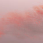 anger, emotion, God’s Word, Oh Lord Help Us, Christian, women, mentor, ministry