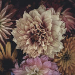 apology, forgiveness, grace, pain, freedom, Oh Lord Help Us, Christian, women, mentor, ministry