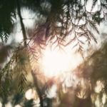 let go, release, control, hold fast, worry, Oh Lord Help Us, Christian, women, mentor, ministry