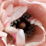 God's love, individuality, confidence, hurt, worth, encouragement, Oh Lord Help Us, Christian, women, mentor, ministry