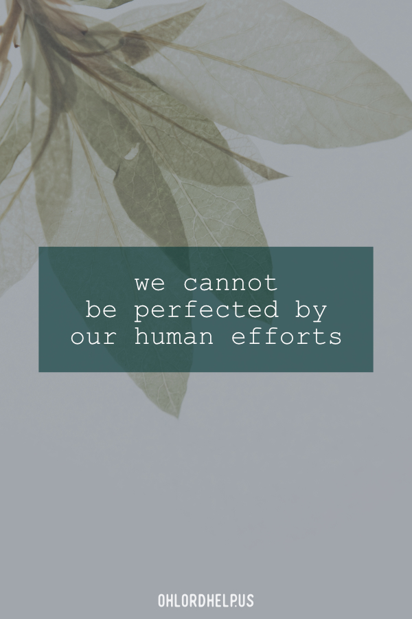 Our response to God's call is often "Yes, but..." We must surrender our 'selves' in obedience to God and intimately follow His leading for the Kingdom. Women of Faith | Spiritual Growth | Scripture Study | Christian Mentoring | Daily Devotional #devotional #scripture #foolishness #intimacy #obedience