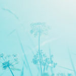 hope, pain, perseverance, restored, suffering, Oh Lord Help Us, Christian, women, mentor, ministry