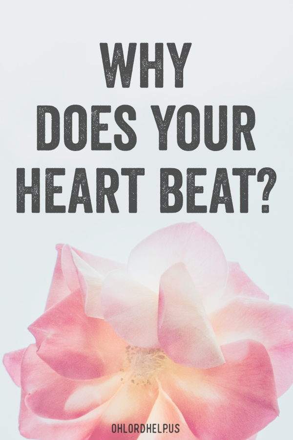 Just as our physical bodies need a healthy heart, our spiritual hearts are no different. The heartbeat can become out of sync with the Lord's plan. Women of Faith | Spiritual Growth | Scripture Study | Christian Mentoring | Daily Devotional #devotional #scripture #revival #GodsWill #heart #heartbeat