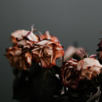 Broken, brokenness, heart, love, restored, trust, Oh Lord Help Us, Christian, women, mentor, ministry