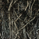 God’s Word, love, money, provision, sin, Oh Lord Help Us, Christian, women, mentor, ministry