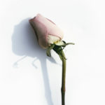 Pride, prideful, temptation, forgiveness, prayer, humility, Oh Lord Help Us, Christian, women, mentor, ministry