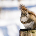 Doubt, fellowship, devotional, scripture, foolish, hope, hopeless, love, Oh Lord Help Us, Christian, women, mentor, ministry