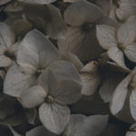 Grief, anger, infertility, pain, suffering, truth, devotional, Oh Lord Help Us, Christian, women, mentor, ministry