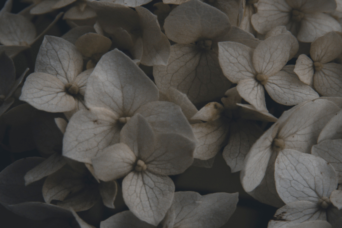 Grief, anger, infertility, pain, suffering, truth, devotional, Oh Lord Help Us, Christian, women, mentor, ministry