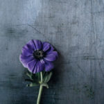 Addiction, hope, hopeful, hopeless, salvation, rescue, devotional, Oh Lord Help Us, Christian, women, mentor, ministry