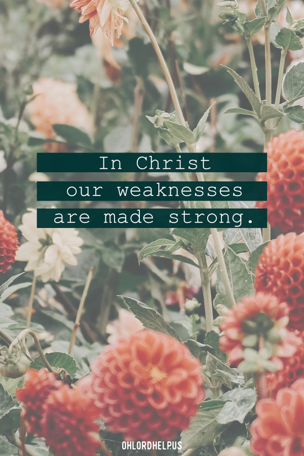 Disappointments and ugliness we want to be washed away, are often opportunities God uses to create beauty. Our suffering produces a steadfast hope. Women of Faith | Spiritual Growth | Scripture Study | Christian Mentoring | Daily Devotional #devotional #scripture #beauty #disappointment #hope #suffering #weakness #weaknesses