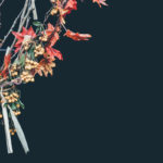 forgiveness, mercy, grace, salvation, the Cross, Oh Lord Help Us, Christian, women, mentor, ministry, nonprofit