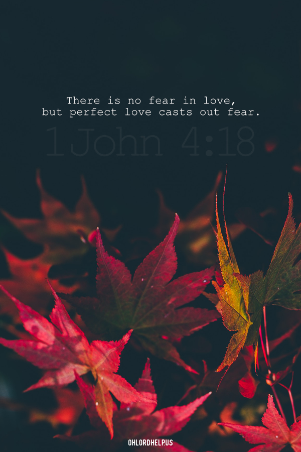 Many situations in our lives have left us feeling afraid. How can we overcome these fears and live boldly? How do we allow God's love to drown our fears? Women of Faith | Spiritual Growth | Scripture Study | Christian Mentoring | Daily Devotional #devotional #scripture #afraid #fear #fearless #LivingBoldly #boldness #unafraid #brave #GodsLove