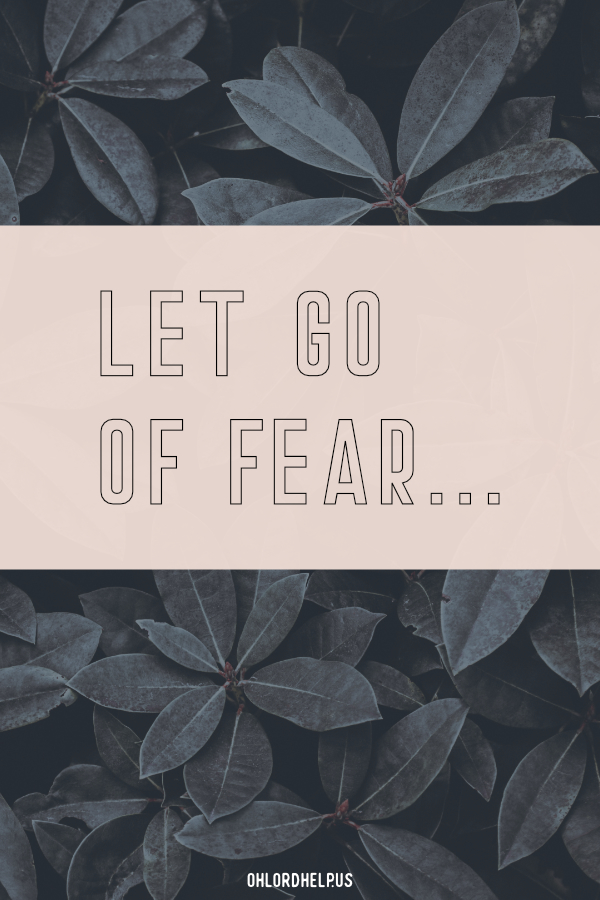 Fear is the enemy and the answer is becoming vulnerable. That seems crazy, yet God calls us to be a little crazy. Let go of fear and embrace God's guidance. Women of Faith | Spiritual Growth | Scripture Study | Christian Mentoring | Daily Devotional | Christian Nonprofit #devotional #scripture #fear #GodsGuidance #LetGo #vulnerability #vulnerable