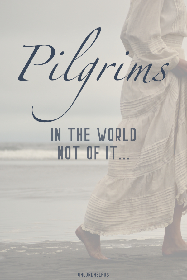 As believers, we are pilgrims in the world but are not of the world. We must embrace this identity to truly follow Christ. Women of Faith | Spiritual Growth | Scripture Study | Christian Mentoring | Daily Devotional | Christian Nonprofit #devotional #scripture #gratitude #thankful #belong #identity #pilgrims #salvation #provision