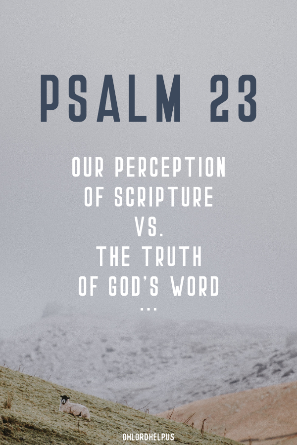 We respond to Scripture based on the perception of our circumstances in life. Psalm 23 is an easy passage to help us trade our perception, with God's truth. Women of Faith | Spiritual Growth | Scripture Study | Christian Mentoring | Daily Devotional | Christian Nonprofit #devotional #scripture #gratitude #thankful #provision #GodsWord #scripture #perception #Psalm23