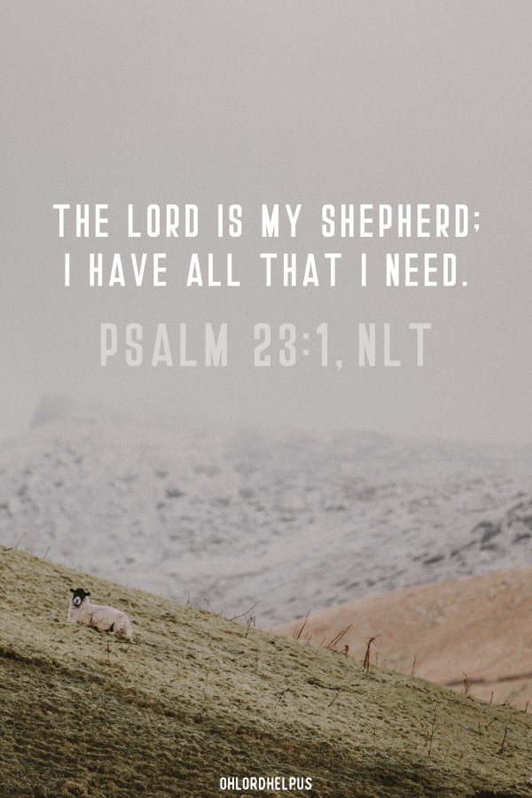 We respond to Scripture based on the perception of our circumstances in life. Psalm 23 is an easy passage to help us trade our perception, with God's truth. Women of Faith | Spiritual Growth | Scripture Study | Christian Mentoring | Daily Devotional | Christian Nonprofit #devotional #scripture #gratitude #thankful #provision #GodsWord #scripture #perception #Psalm23