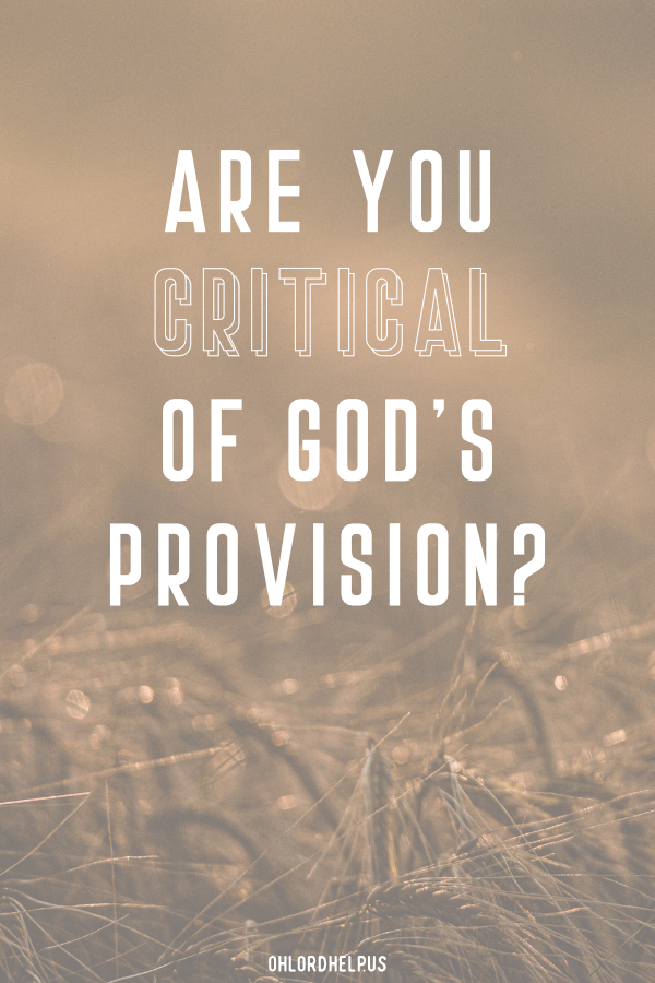 God gives us many blessings. Once we move past our initial thankfulness, the weight of what we must steward can distract us from the source of our joy. Women of Faith | Spiritual Growth | Scripture Study | Christian Mentoring | Daily Devotional | Christian Nonprofit #devotional #scripture #gratitude #thankful #thankfulness #provision #blessings #steward #joy