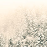 Advent, Christmas, hope, inheritance, refuge, Oh Lord Help Us, Christian, women, mentor, ministry, nonprofit