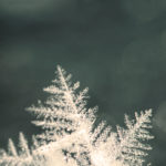 Advent, Christmas, Jesus, pressure, holidays, rest, busy, season, Oh Lord Help Us, Christian, women, mentor, ministry, nonprofit