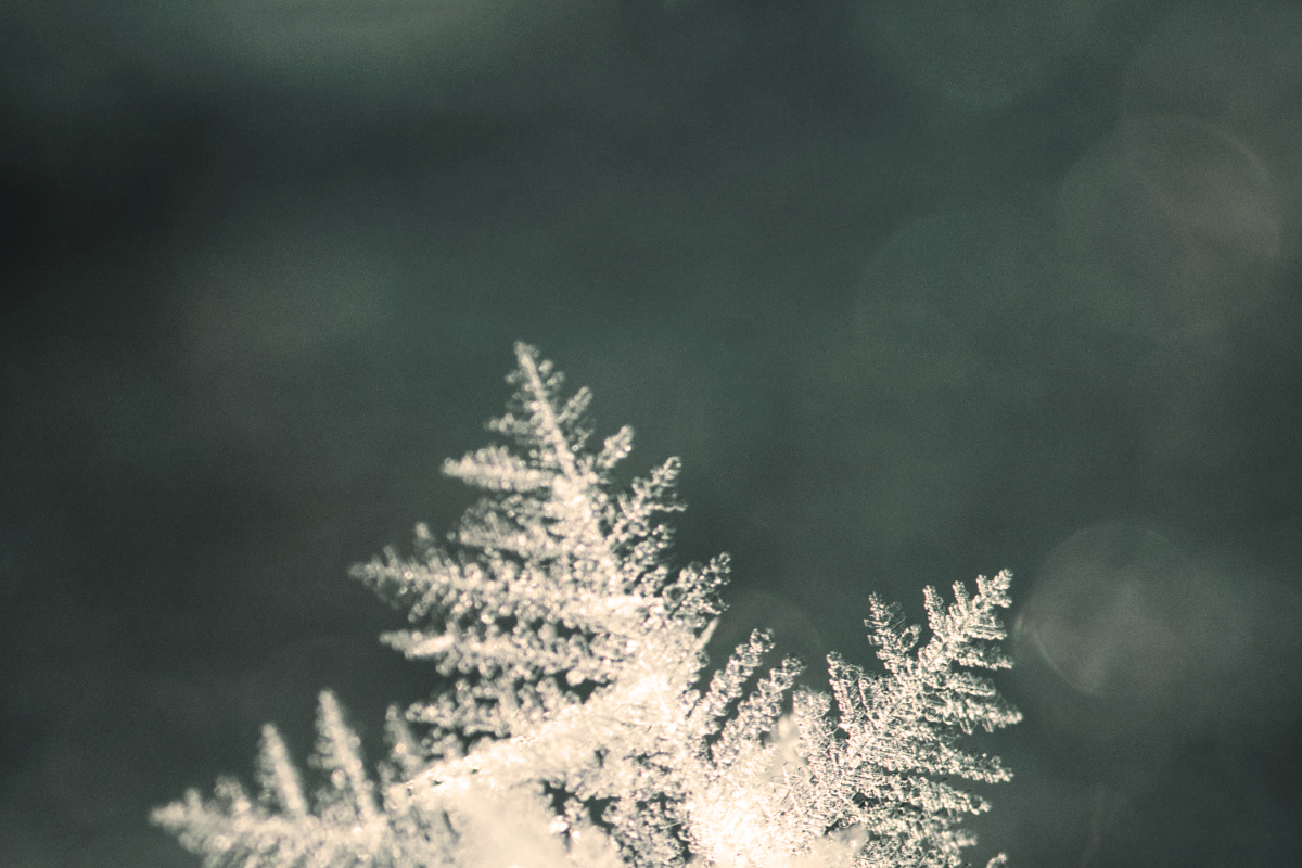 Advent, Christmas, Jesus, pressure, holidays, rest, busy, season, Oh Lord Help Us, Christian, women, mentor, ministry, nonprofit